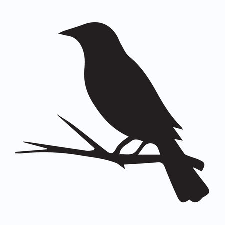 Silhouette of a crow on a branch. Vector illustration.のイラスト素材
