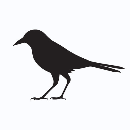 silhouette of a crow on a white background. vector illustrationのイラスト素材