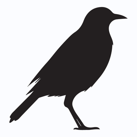 silhouette of a crow on a white background, vector illustrationのイラスト素材