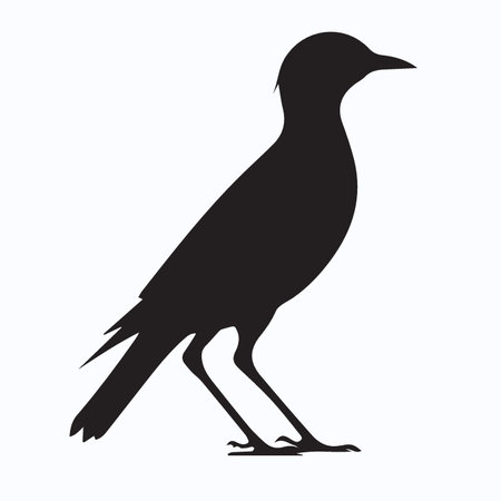 silhouette of a crow on a white background, vector illustrationのイラスト素材