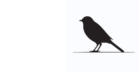 Silhouette of a bird on a white background. Vector illustration.のイラスト素材