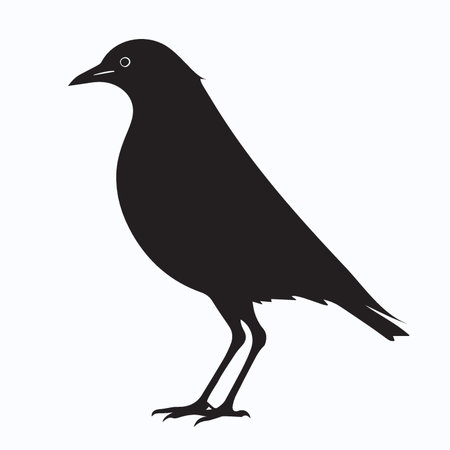 Black silhouette of a crow on a white background. Vector illustration.のイラスト素材