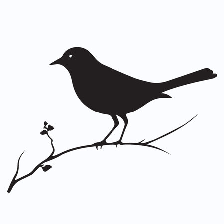 Black silhouette of a robin on a branch. Vector illustration.のイラスト素材