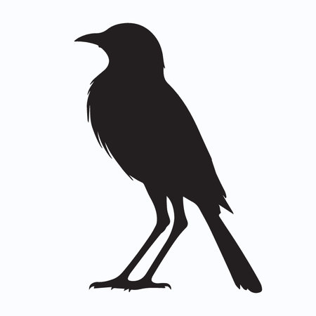 Silhouette of a crow on a white background. Vector illustrationのイラスト素材