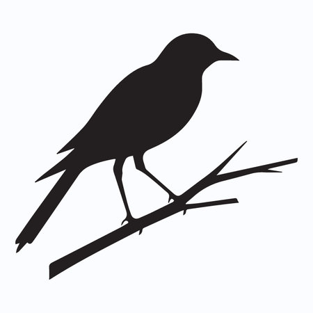 Silhouette of a bird on a branch. Vector illustration.のイラスト素材