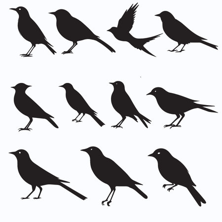 set of black bird silhouettes isolated on white background. vector illustrationのイラスト素材