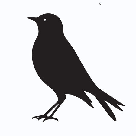 Black silhouette of a bird on a white background. Vector illustration.のイラスト素材