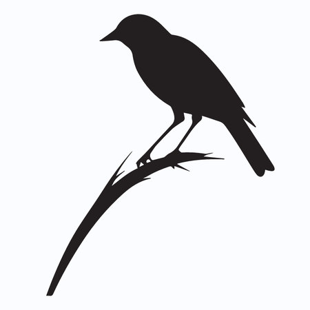Silhouette of a bird on a branch. Vector illustration.のイラスト素材