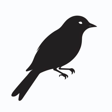 Black silhouette of a bird on a white background. Vector illustration.のイラスト素材