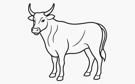 Vector image of a bull. Isolated on a white background.のイラスト素材
