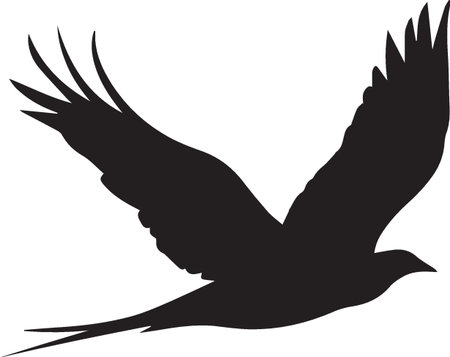 Silhouette of a flying bird on a white background. Vector illustrationのイラスト素材