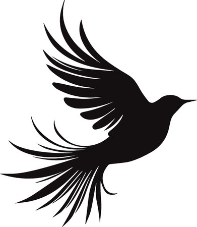 Black silhouette of a flying bird on a white background. Vector image.のイラスト素材