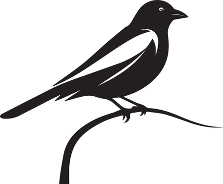 Magpie.Vector illustration ready for vinyl cutting.EPS 10のイラスト素材