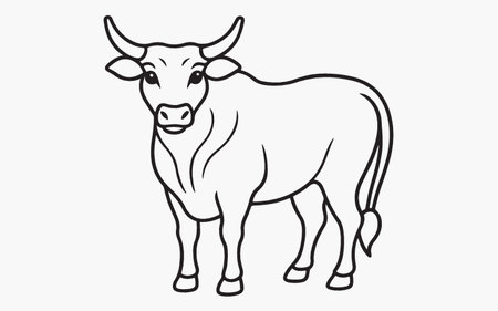 Vector illustration of a bull on a white background. Farm animal.のイラスト素材