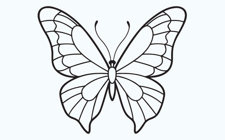 Butterfly icon. Outline illustration of butterfly vector icon for web designのイラスト素材