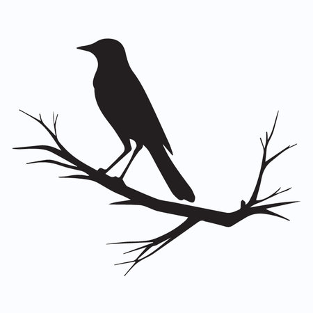 Silhouette of a bird on a branch. Vector illustration.のイラスト素材