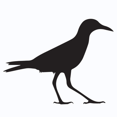 Silhouette of a crow on a white background. Vector illustrationのイラスト素材