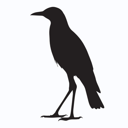 Silhouette of a crow on a white background. Vector illustrationのイラスト素材