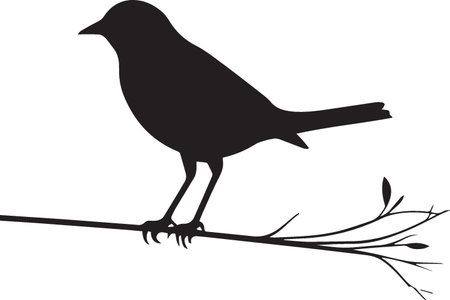 Silhouette of a bird on a branch. Vector illustration.のイラスト素材