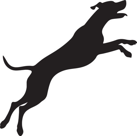 Dachshund silhouette isolated on white background. Vector illustration.のイラスト素材