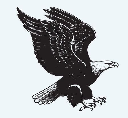 Eagle in flight. Vector illustration in vintage style. Hand drawing