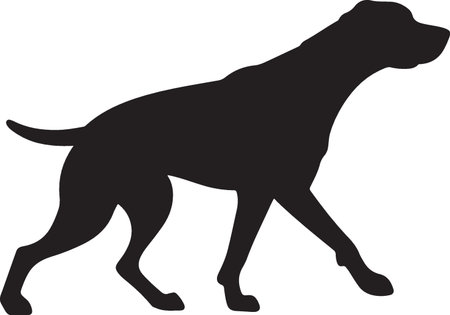 Labrador Retriever silhouette on white background. Vector illustration.のイラスト素材