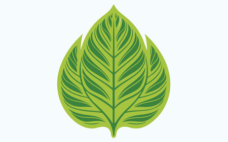 Leaf design over white background, vector illustration. Eps 10.のイラスト素材