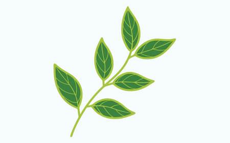 Leaf design over white background, vector illustration. Eps 10.のイラスト素材