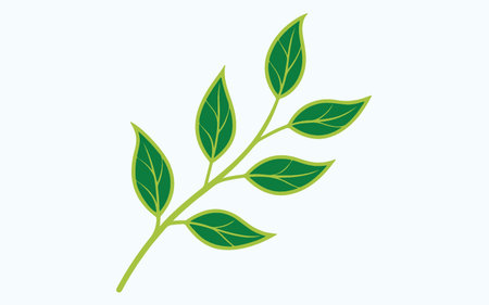 Green leaves on a white background. Vector illustration. Eps 10.のイラスト素材