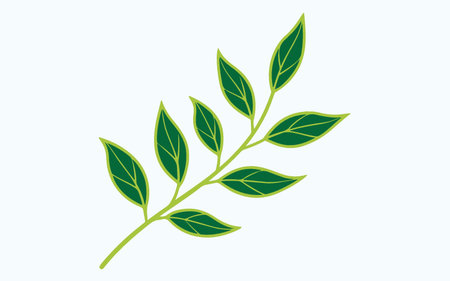 Leaf design over white background, vector illustration. Eps 10.のイラスト素材