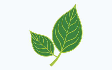 Green leaves on a white background. Vector illustration. Eps 10.