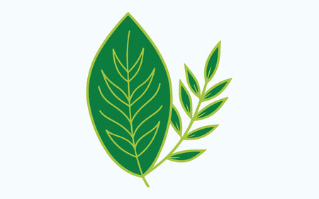 Leaf concept with icon design, vector illustration 10 eps graphic.のイラスト素材