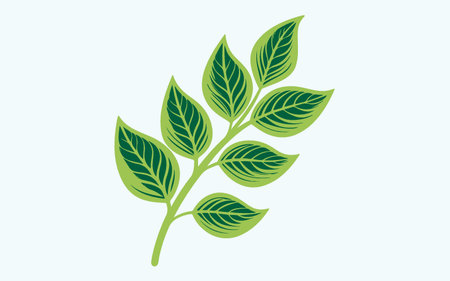 Leaf design over blue background, vector illustration. Eps 10.のイラスト素材
