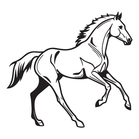 Horse black and white vector illustration isolated on white background. Side view.のイラスト素材