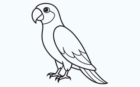 Parrot vector illustration. Hand drawn doodle parrot.のイラスト素材