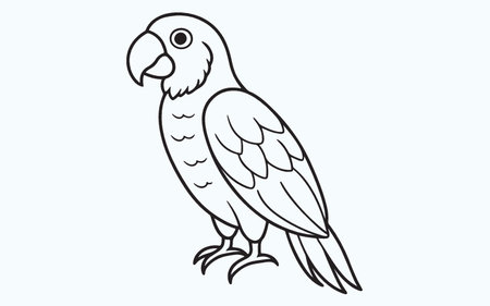 Parrot vector illustration. Isolated parrot on white background.のイラスト素材