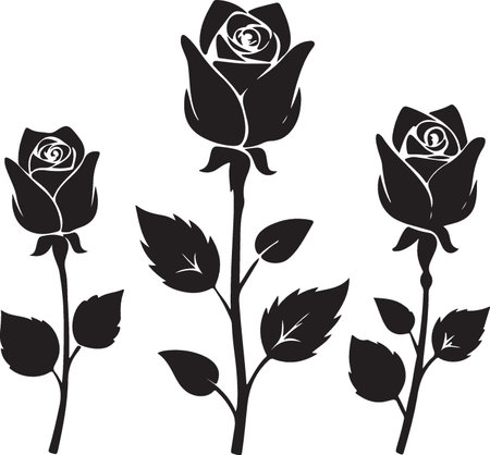 Black roses on a white background. Vector illustration for your design.のイラスト素材