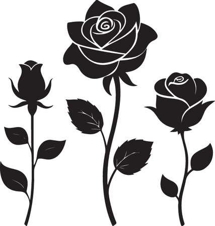 Black roses on a white background. Vector illustration for your design.のイラスト素材