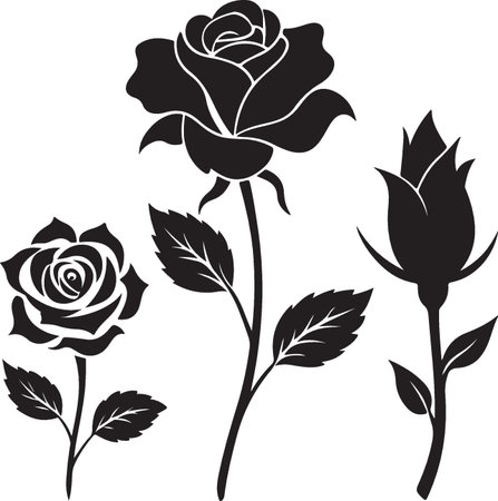 Black and white roses set. Vector illustration ready for vinyl cutting.のイラスト素材
