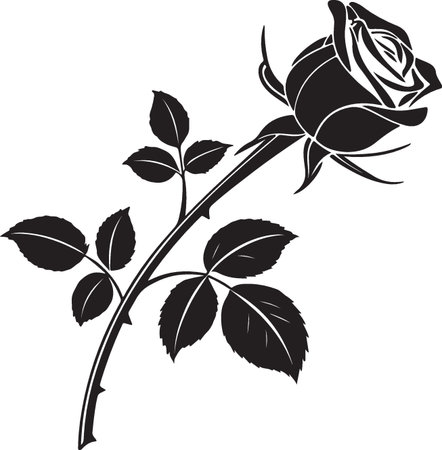 Black rose on a white background. Vector illustration ready for vinyl cutting.のイラスト素材