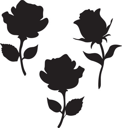 Set of hand drawn doodle flowers and leaves. Vector illustration.のイラスト素材