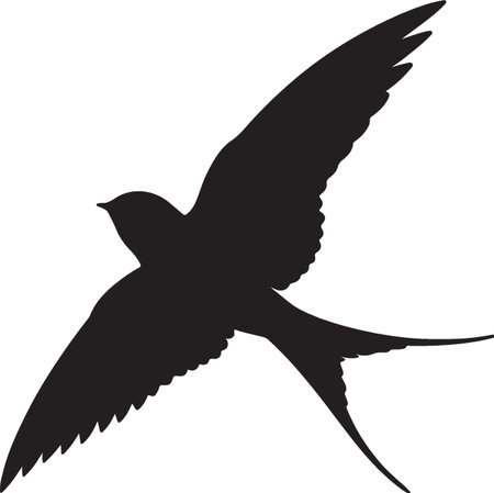 swallow silhouette isolated on a white background. vector illustration for your designのイラスト素材