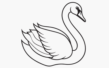 Swan on the white background. Vector illustration for your design.のイラスト素材