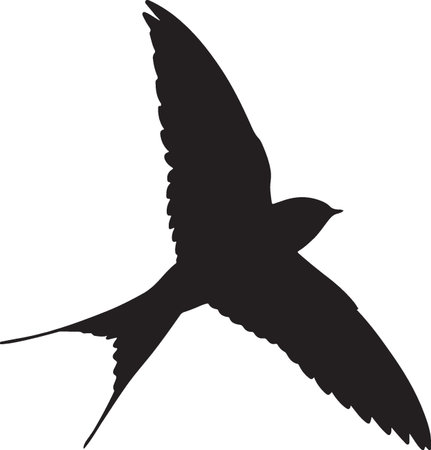 swallow silhouette isolated on white background. vector illustration. black and whiteのイラスト素材