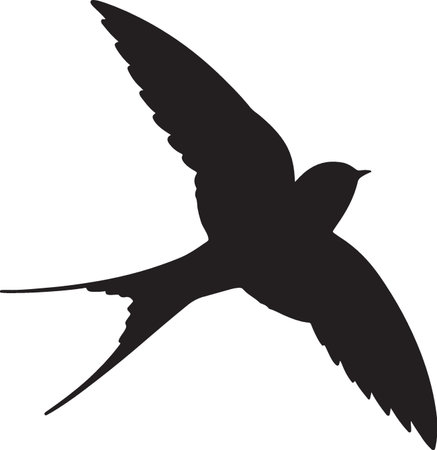 swallow silhouette isolated on a white background. vector illustration EPS10のイラスト素材