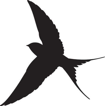 swallow silhouette isolated on a white background. vector illustration for designのイラスト素材