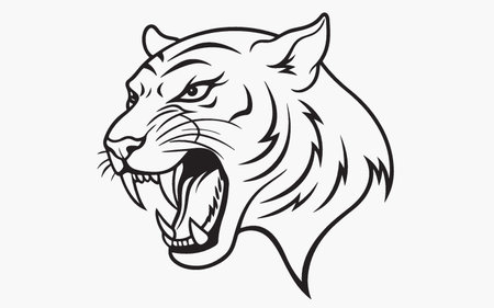 Vector illustration of a tiger head isolated on white background. Line art style.のイラスト素材