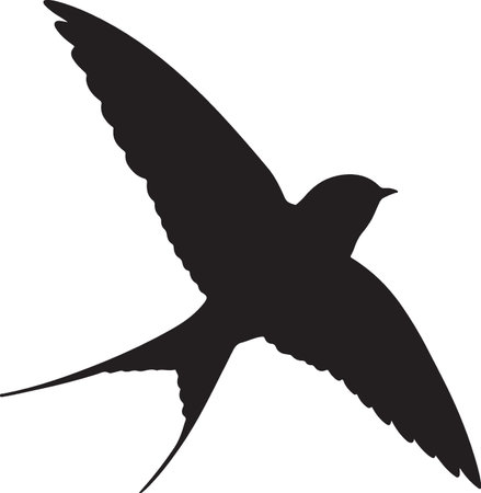 swallow silhouette isolated on white background, vector illustration, clip artのイラスト素材