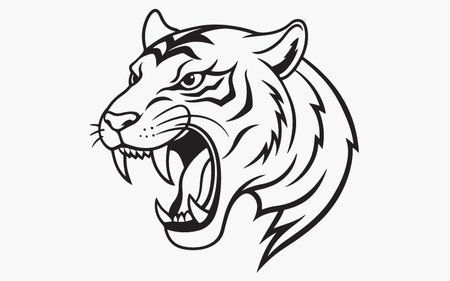 Tiger head. Vector illustration. Isolated on white background.のイラスト素材