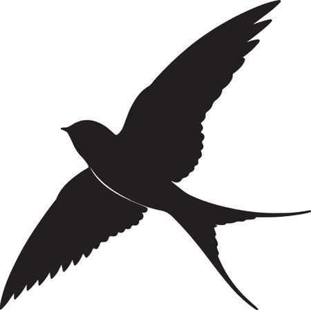 swallow silhouette isolated on white background. black and white vector illustrationのイラスト素材